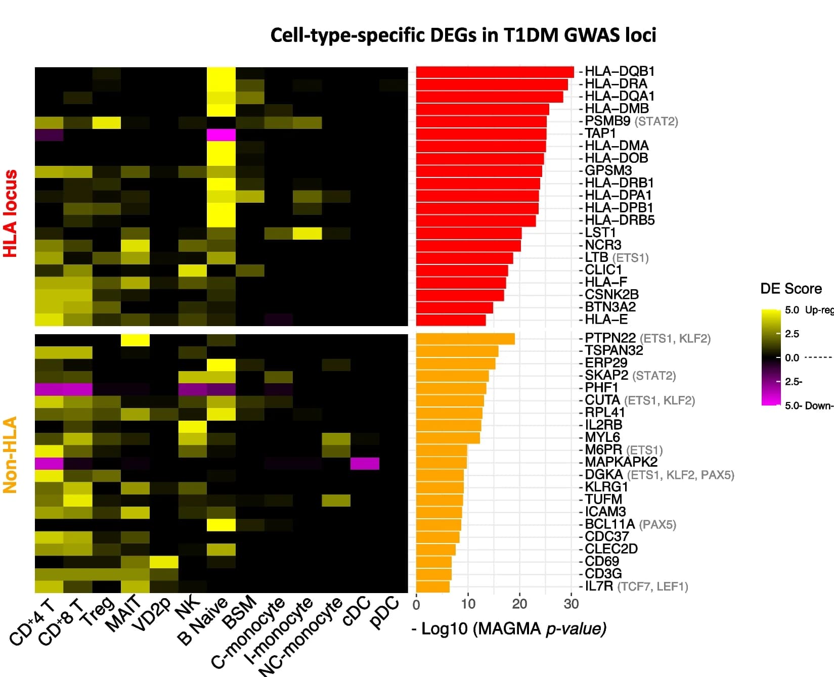 Open access visualization of Bar Plot, Heatmap, Cell Type-Specific Differential Expression Score, Genes, T1DM GWAS Loci