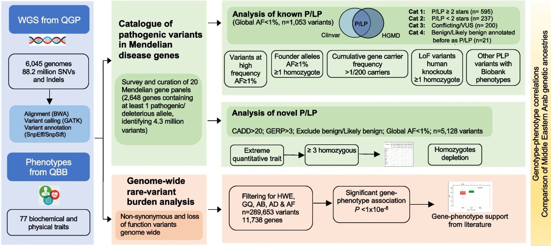 Open access visualization of Workflow, Venn Diagram, Scatter Plot, Box Plot, Mendelian Disorders