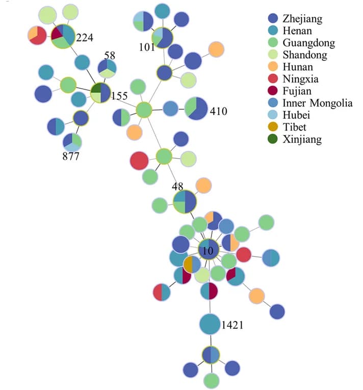Open access visualization of Network, Pie Chart, CREC Isolates, Minimal Spanning Tree
