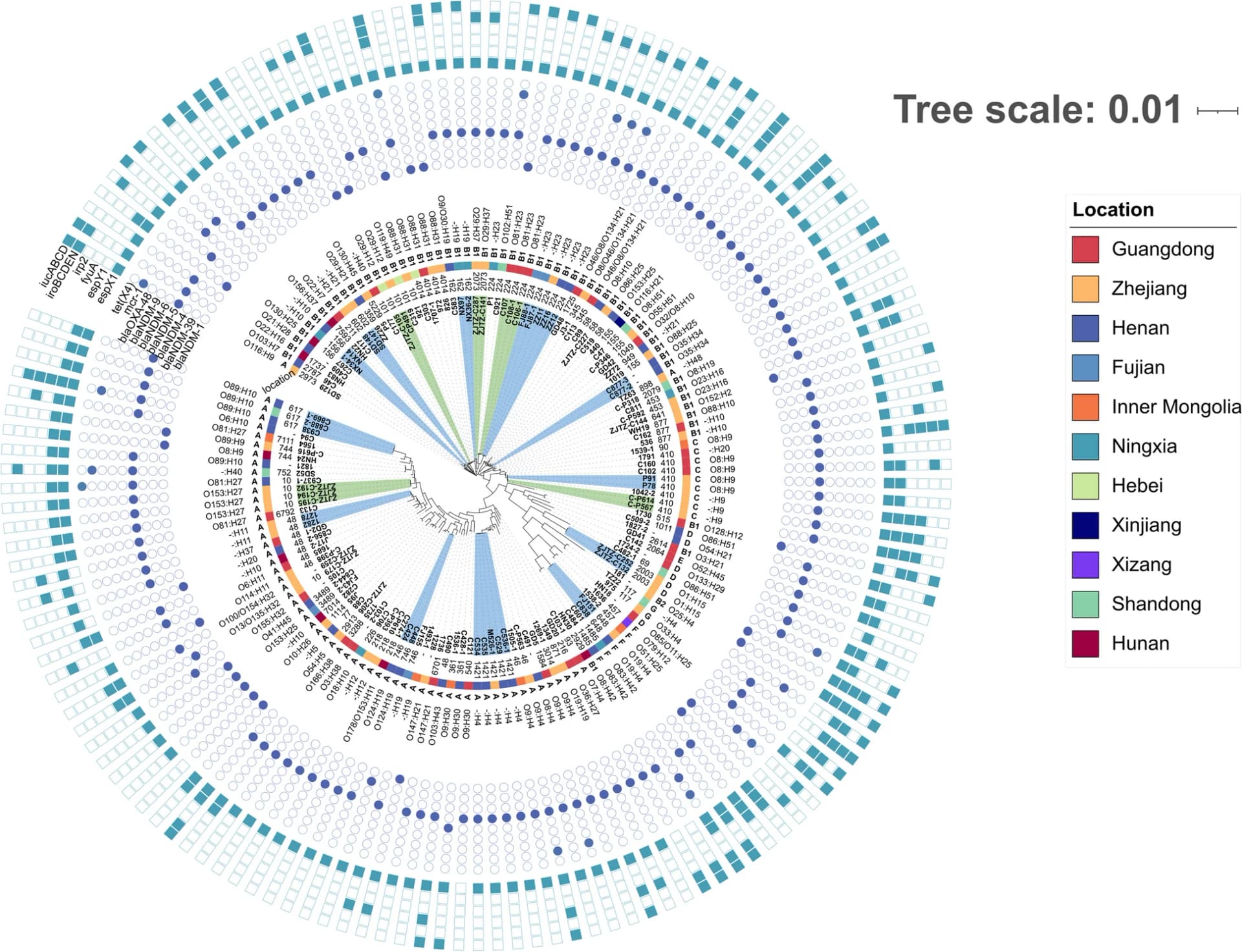 Open access visualization of Network, Bar Plot, Scatter Plot, Pathway, Phylogenetic Tree