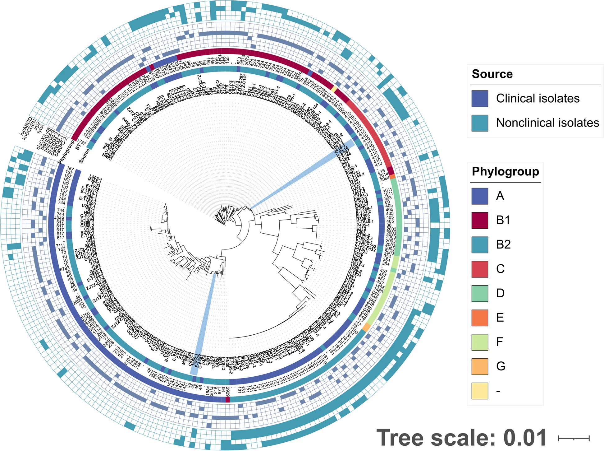 Open access visualization of Network, Chord, Bar Plot, Heatmap, Phylogenetic Tree