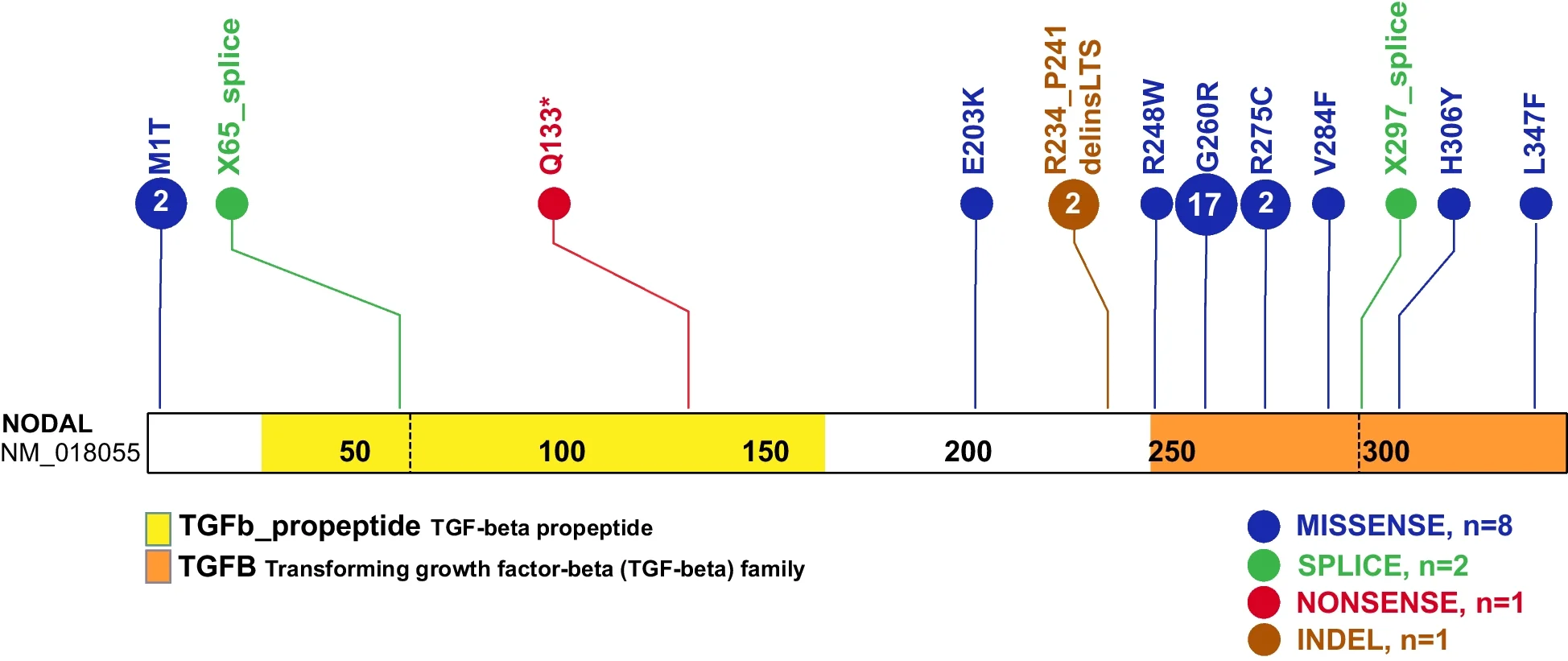 Open access visualization of Scatter Plot, NODAL Protein, NM_018055 Transcript, Amino Acid Variants, SNV Alleles