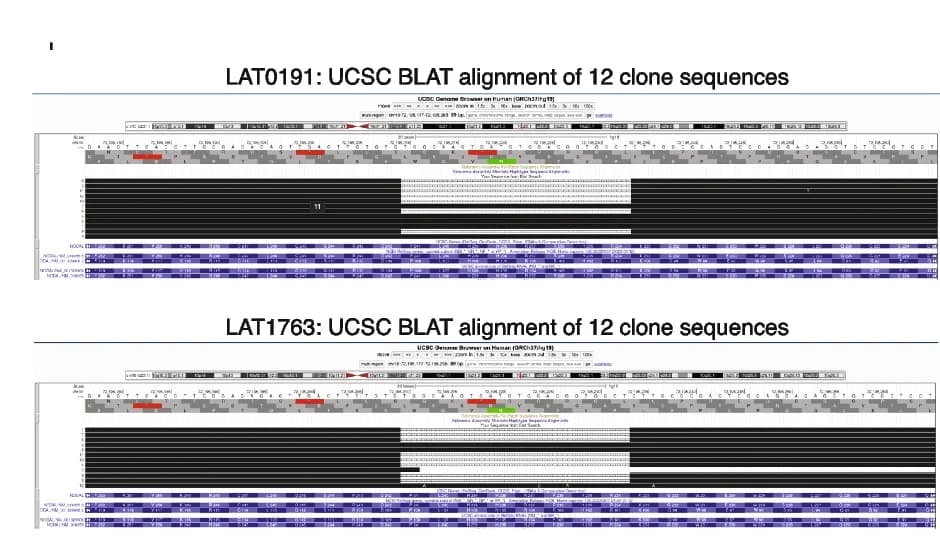 Open access visualization of Workflow, UCSC Genome Browser, Clones, WT Sequence, NODAL Transcript
