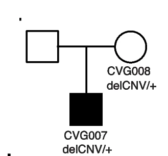 Open access visualization of Illustration, Pedigree, Proband