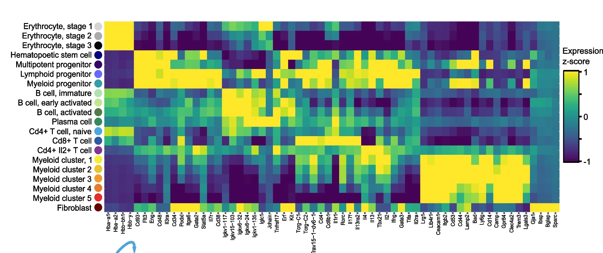 Open access visualization of Heatmap, Clustered, Z-scores, Gene Expression, Cell Type