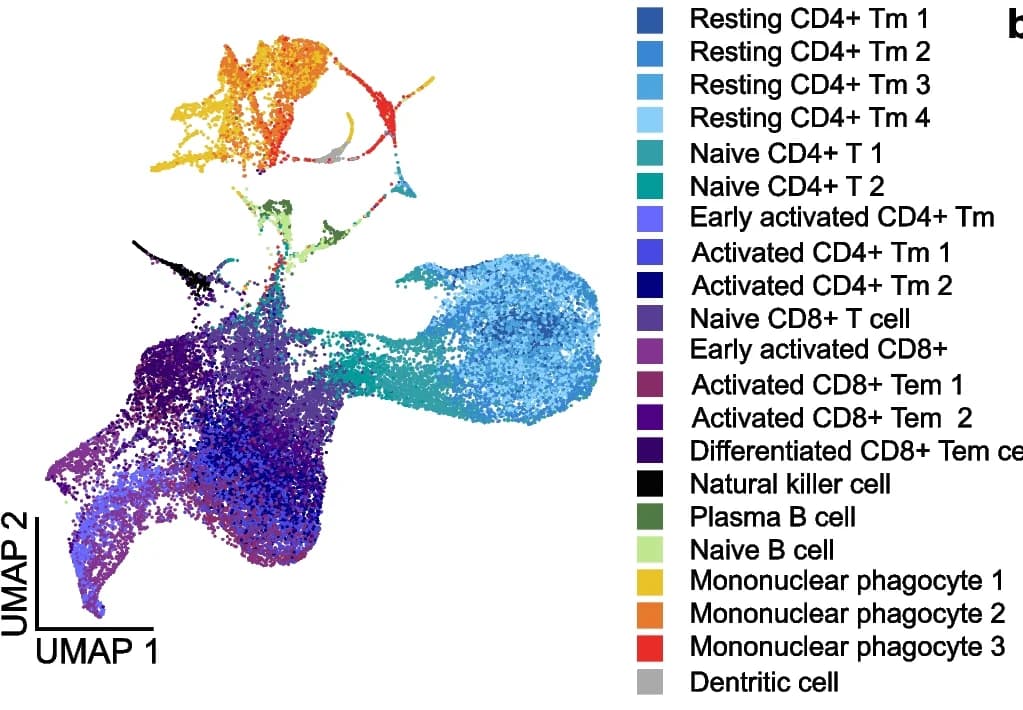 Open access visualization of UMAP, scDrugPrio, scRNA-seq, Cerebrospinal Fluid, Multiple Sclerosis Patients