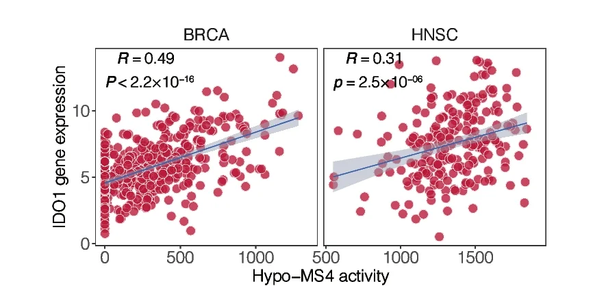 Open access visualization of Scatter Plot, Regression Plot, Gene Expression, IDO1, Hypo-MS4 Activity