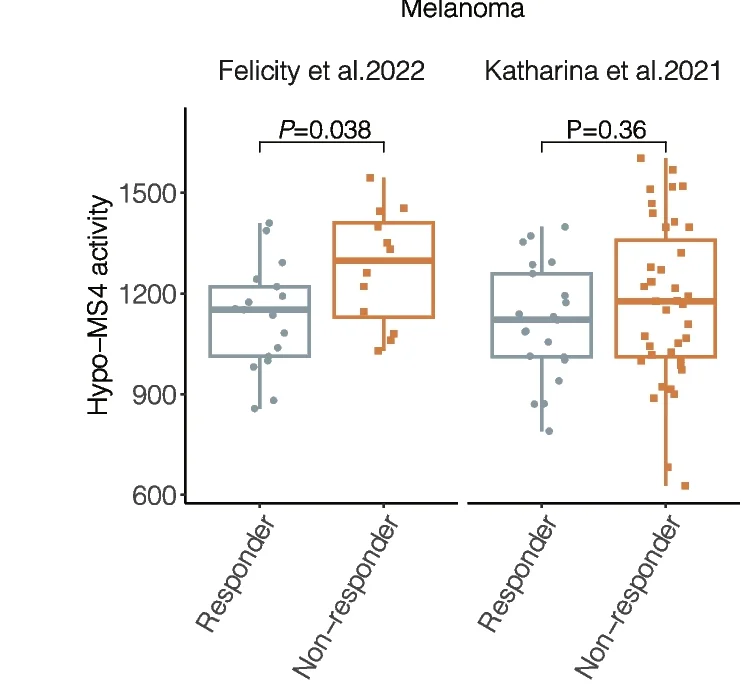 Open access visualization of Box Plot, Scatter Plot, Hypo-MS4 Activity, Responders, Nonresponders