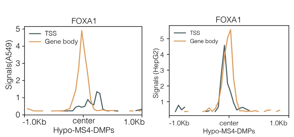 Open access visualization of Line Plot, FOXA1 Binding, Hypo-MS4, DMPs, Gene Body