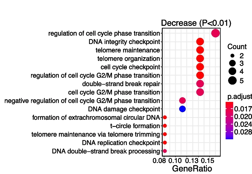 Open access visualization of Scatter Plot, Bubble Plot, Volcano Plot, GO Terms, Downregulated Genes