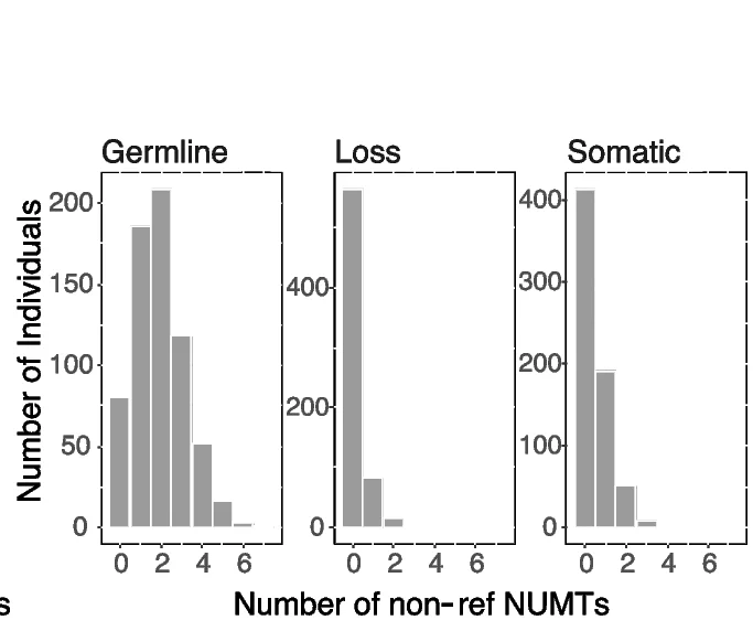 Open access visualization of Histogram, Non-Ref NUMTs, Germline, Loss, Somatic