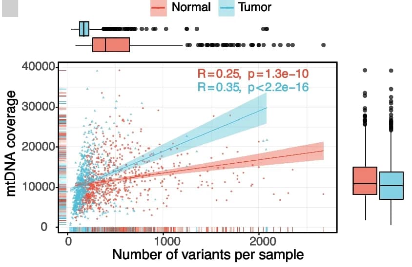 Open access visualization of Regression Plot, Box Plot, Scatter Plot, mtDNA Variants, Coverage
