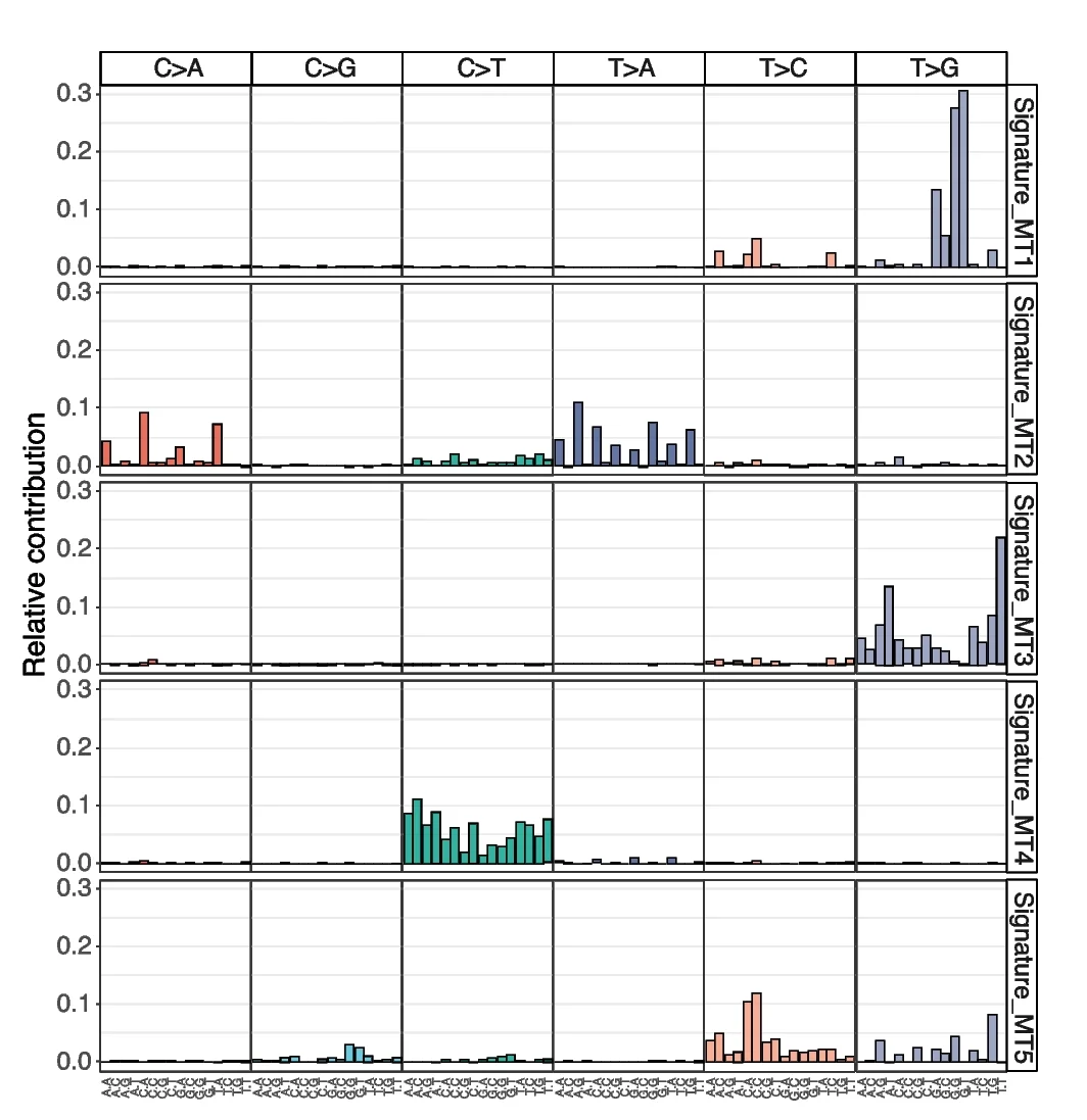 Open access visualization of Bar Plot, Mutation Signatures, Somatic mtDNA Variants
