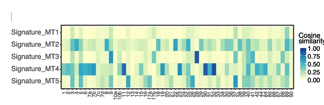 Open access visualization of Heatmap, Cosine Similarity, Mutation Signatures, COSMIC Signatures, Single Base Substitution