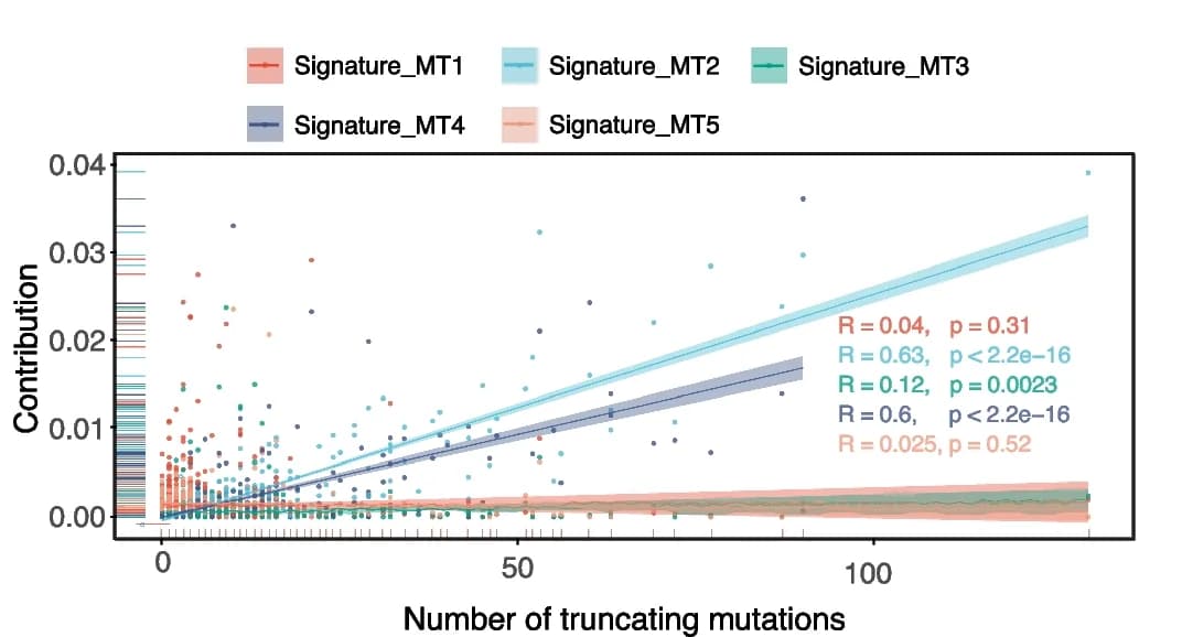 Open access visualization of Scatter Plot, Regression Plot, Truncating Mutations, Mutation Signatures, Pearson Test