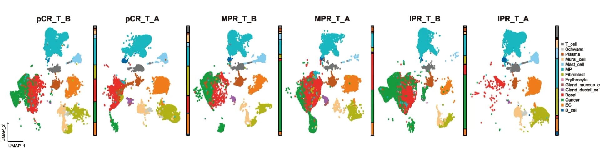 Open access visualization of UMAP, Bar Plot, UMAP Profiles, Cell Subsets, ESCC Tumors