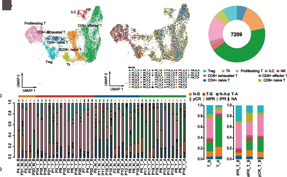 Open access visualization of UMAP, Pie Chart, Bar Plot, Stacked Bar Plot, UMAP Embedding