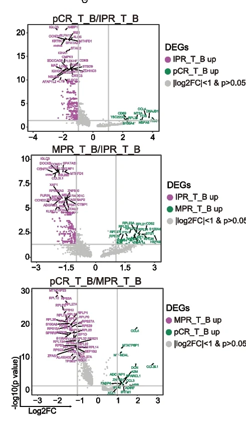 Open access visualization of Scatter Plot, Volcano Plot, Volcano Plots, Differentially Expressed Genes, Subgroup Analysis