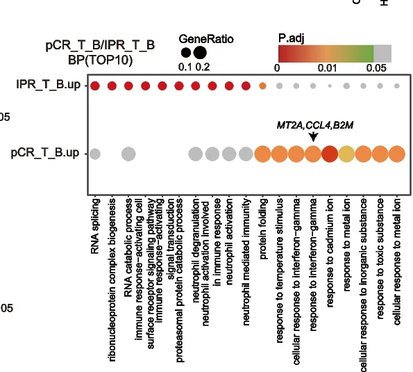 Open access visualization of Bubble Plot, Gene Ontology, Pathway Enrichment Analysis, Biological Processes, Baseline ESCC Tumor