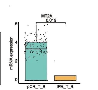 Open access visualization of Box Plot, Raincloud Plot, Box Plots, mRNA Expression, Baseline ESCC Tumors