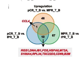 Open access visualization of Venn Diagram, Gene Sets, DEG Analysis, Baseline Tumors, Pathological Responses