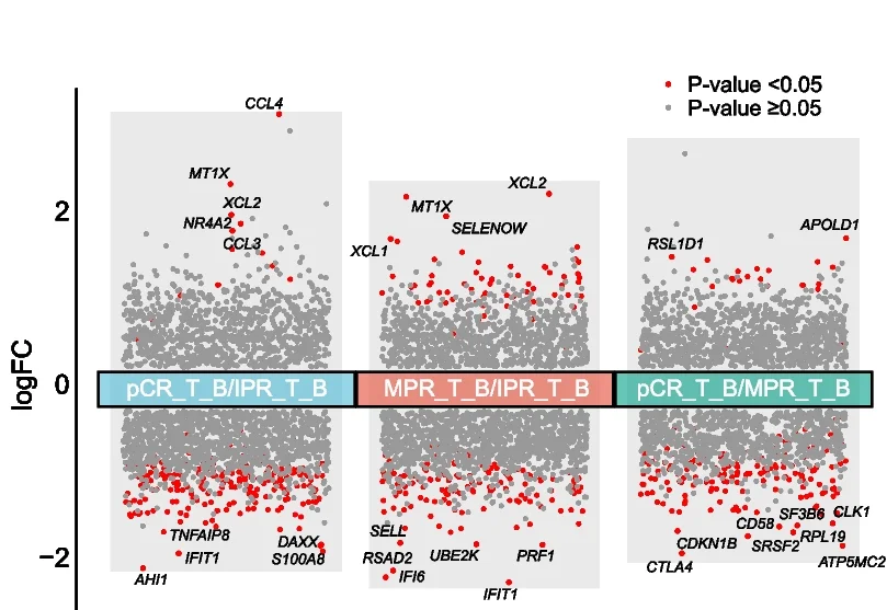 Open access visualization of Scatter Plot, Volcano Plot, Differentially Expressed Genes, Subgroup Analysis