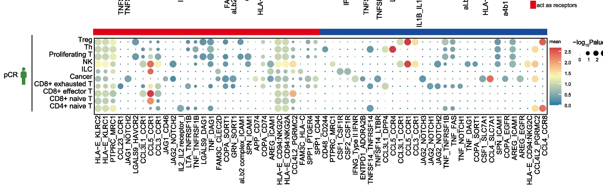 Open access visualization of Bubble Plot, Heatmap, Dot Plot, Ligand-Receptor Interactions, NK Cells
