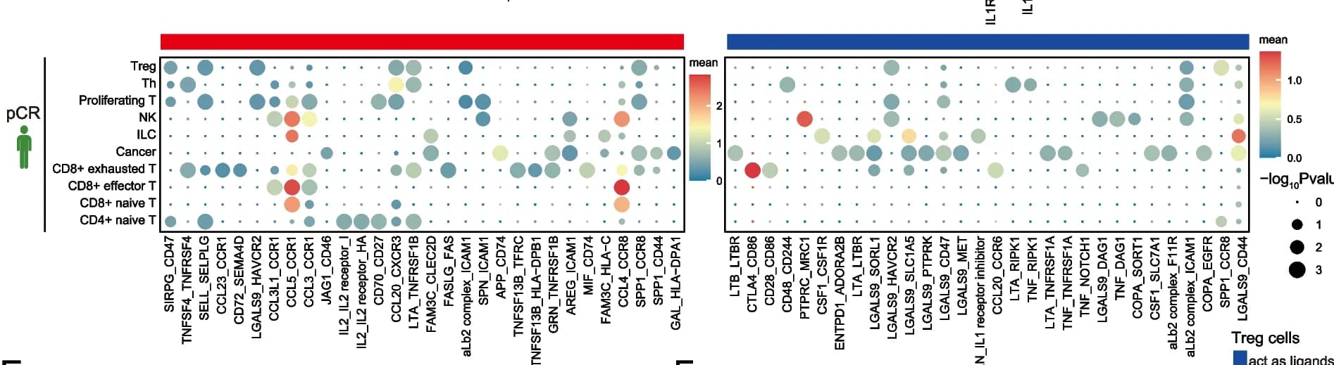 Open access visualization of Bubble Plot, Heatmap, Dot Plots, Ligand Receptor Interactions, Treg Cells