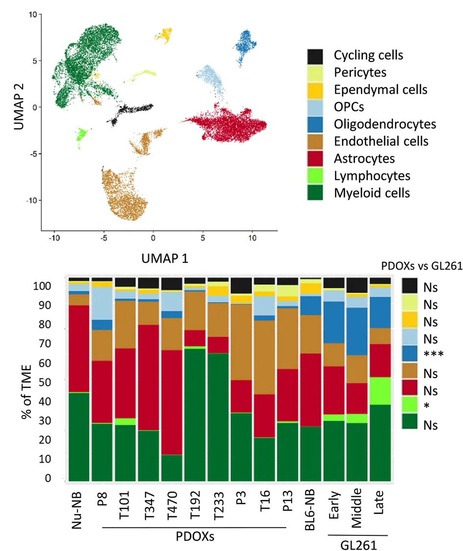 Open access visualization of Stacked Bar Plot, UMAP, Scatter Plot, scRNA-seq, TME Cell Types
