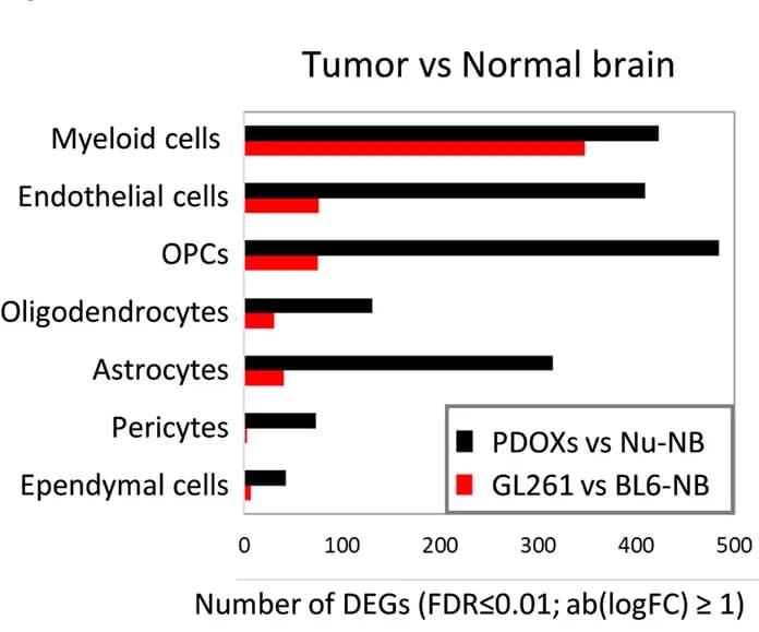 Open access visualization of Bar Plot, Clustered, Differentially Expressed Genes, Tumor Microenvironment, Patient-Derived Orthotopic Xenografts