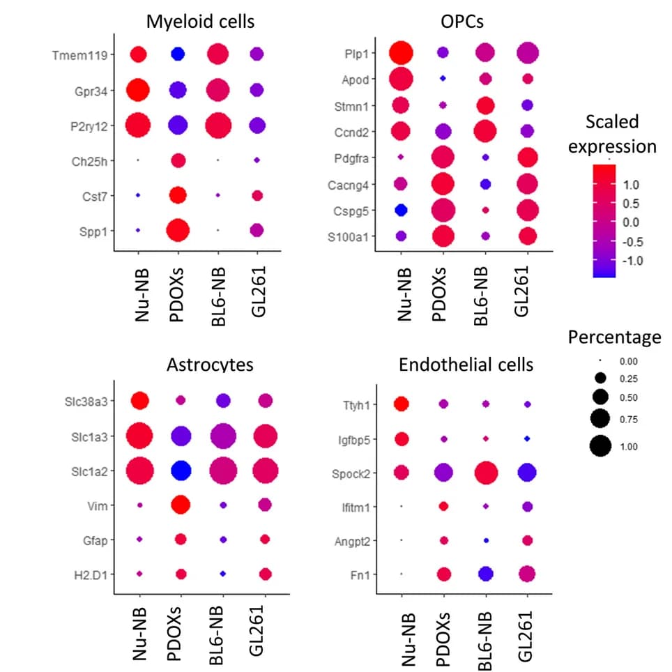 Open access visualization of Bubble Plot, Gene Expression, Differentially Expressed Genes, Cell Types, Nude Mouse Brain