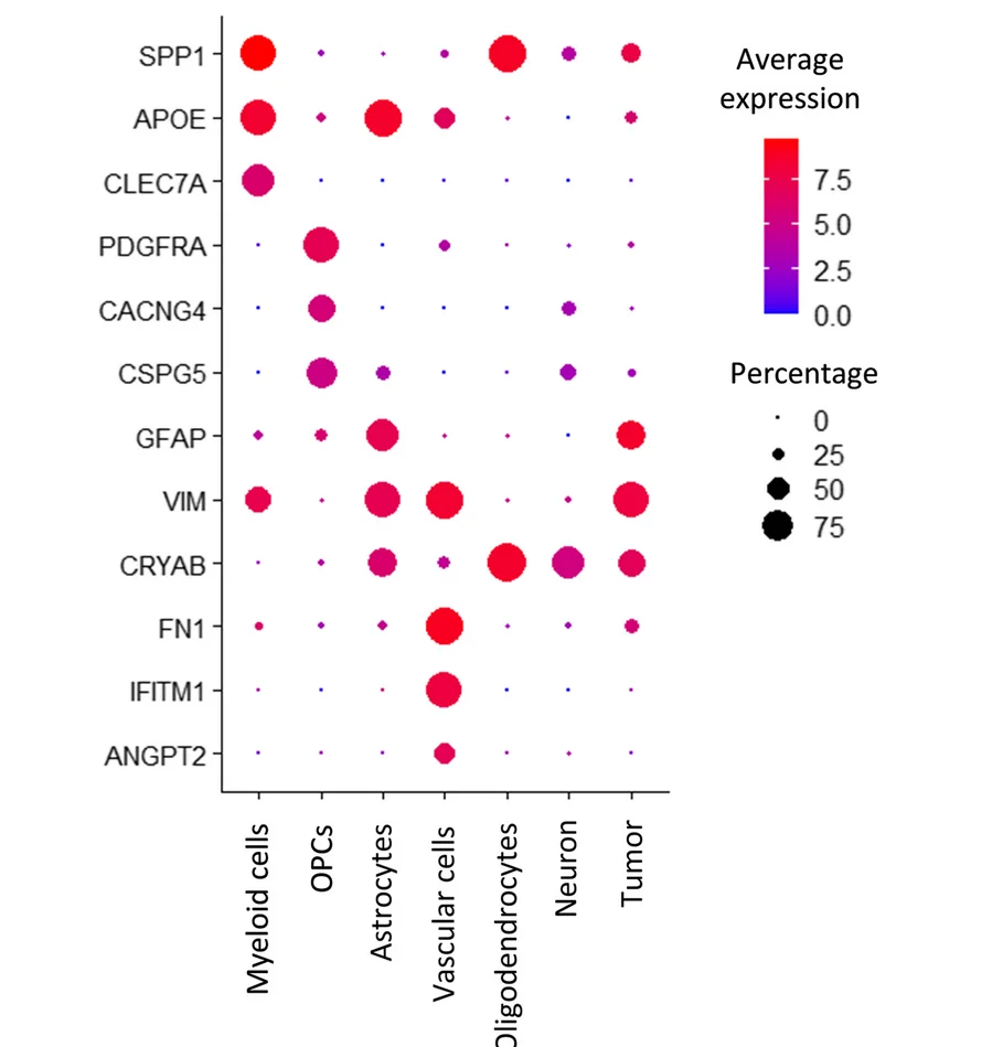 Open access visualization of Bubble Plot, Expression Levels, Markers, Cell Types, Glioblastoma