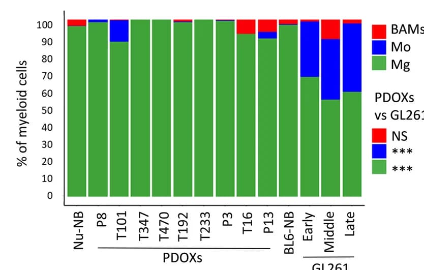 Open access visualization of Stacked Bar Plot, Myeloid Cell Subpopulations, Nude Mouse Normal Brain, PDOXs, C57BL6/N Mouse Normal Brain