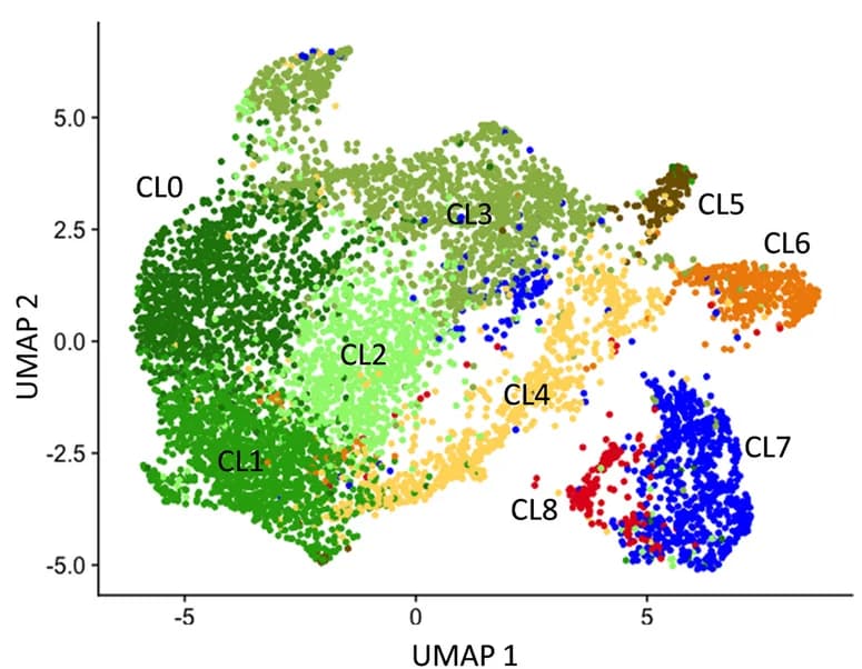 Open access visualization of Scatter Plot, UMAP, UMAP Plot, Myeloid Cells, PDOXs