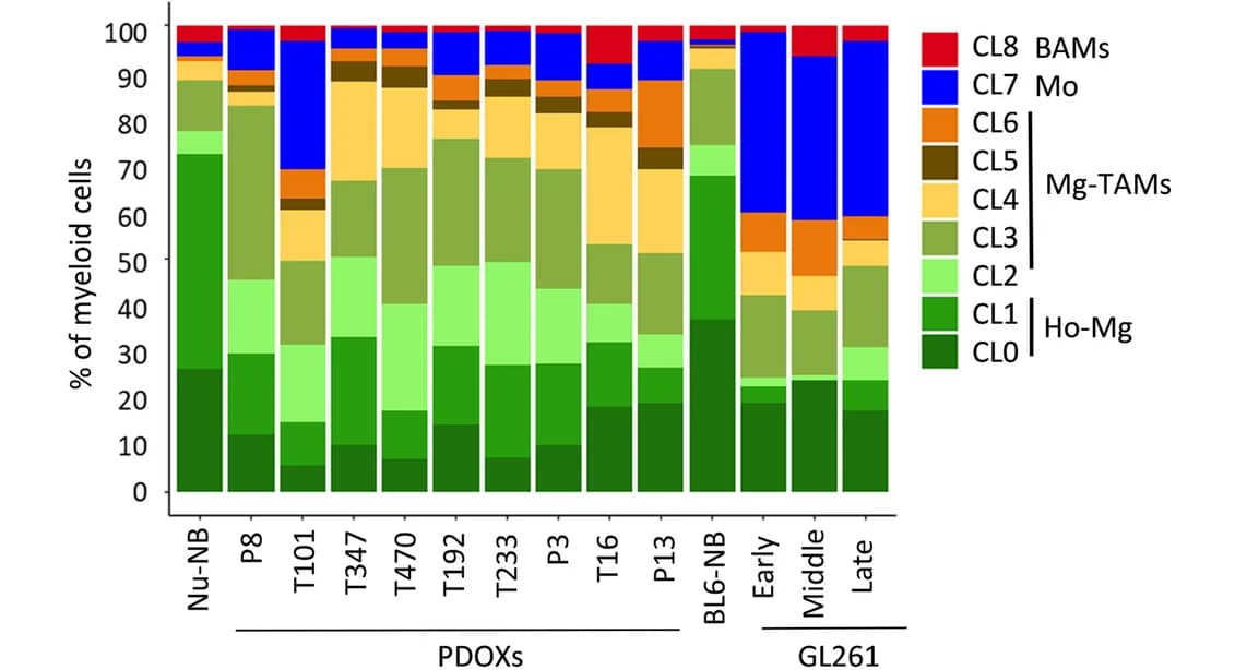Open access visualization of Stacked Bar Plot, Cell Proportions, Myeloid Cells, Nude Mouse, Normal Brain