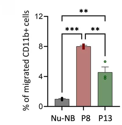 Open access visualization of Bar Plot, Error Bars, Ex Vivo, Migratory Capacity, CD11b+ Myeloid Cells