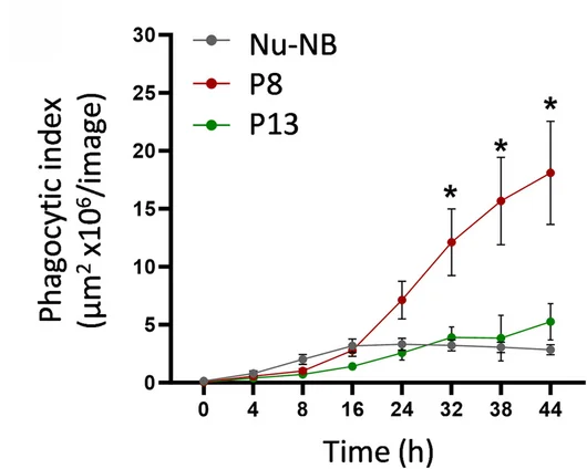 Open access visualization of Line Plot, Error Bars, Ex Vivo, Phagocytic Capacity, CD11b+ Myeloid Cells