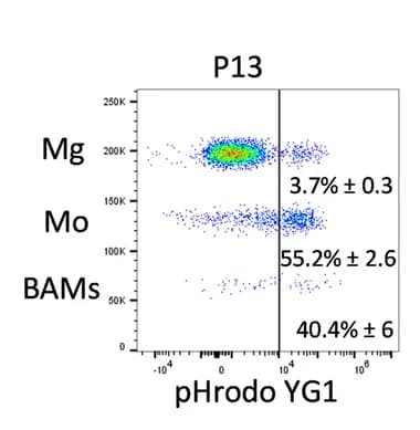 Open access visualization of Scatter Plot, Phagocytic Uptake, Mg, Mo, BAMs