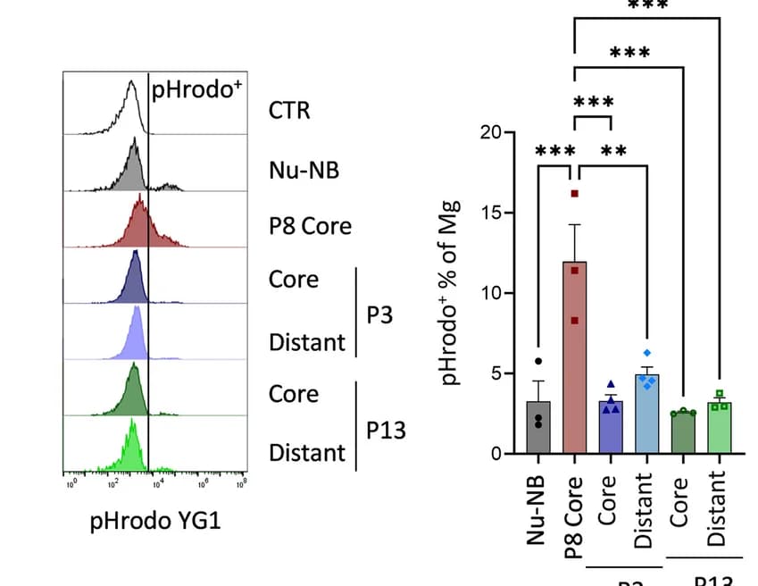 Open access visualization of Bar Plot, Error Bars, Density Plot, Phagocytic Uptake, Mg