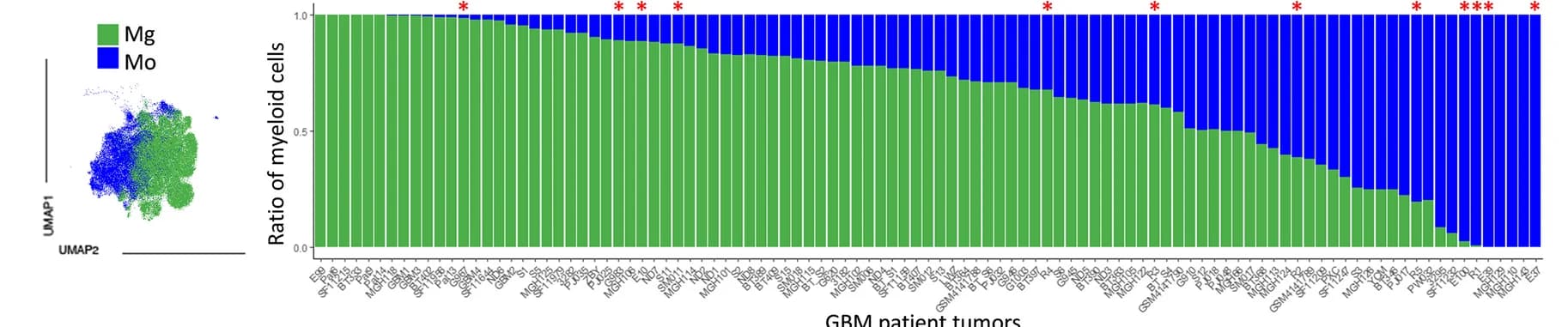 Open access visualization of Stacked Bar Plot, UMAP, Myeloid Subsets, GBM Patient Tumors, Mg Ontogeny