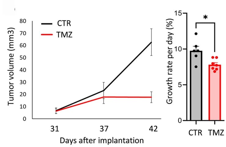 Open access visualization of Line Plot, Error Bars, Bar Plot, MRI, Tumor Progression
