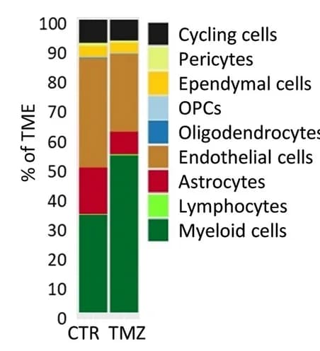 Open access visualization of Stacked Bar Plot, Cell Types, TME, CTR, TMZ-treated