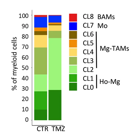 Open access visualization of Stacked Bar Plot, Cells, Myeloid Cells, CTR, TMZ-treated PDOXs
