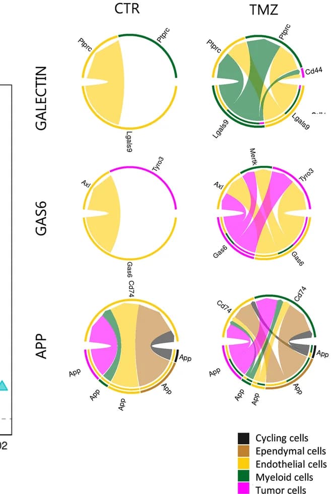 Open access visualization of Chord, Galectin Pathway, Gas6 Pathway, App Pathways, CTR