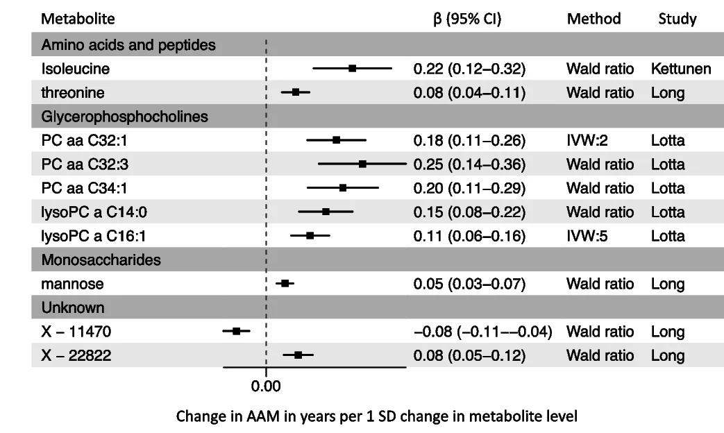 Open access visualization of Forest Plot, MR Prioritized Metabolites, AAM, Estimates, Betas