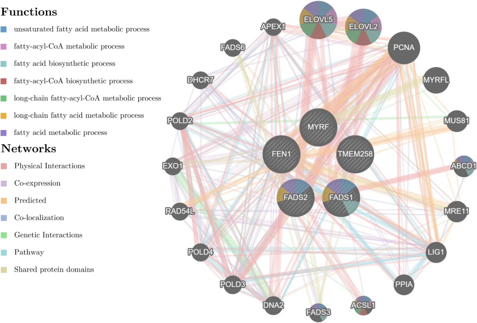 Open access visualization of Network, Pathway, Pie Chart, Metabolites, GeneMANIA