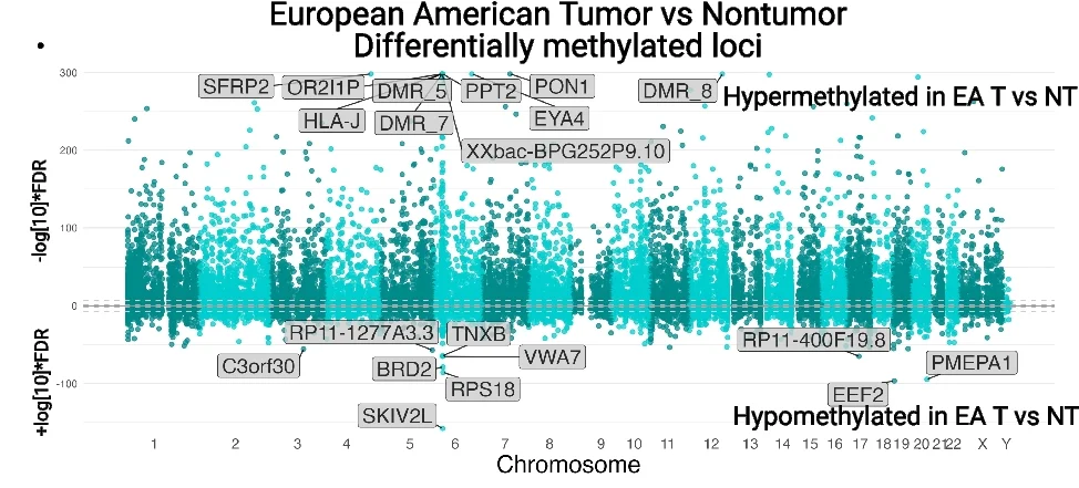Open access visualization of Manhattan Plot, Manhattan Plots, Differentially Methylated Regions, Prostate Tumors, EA Men