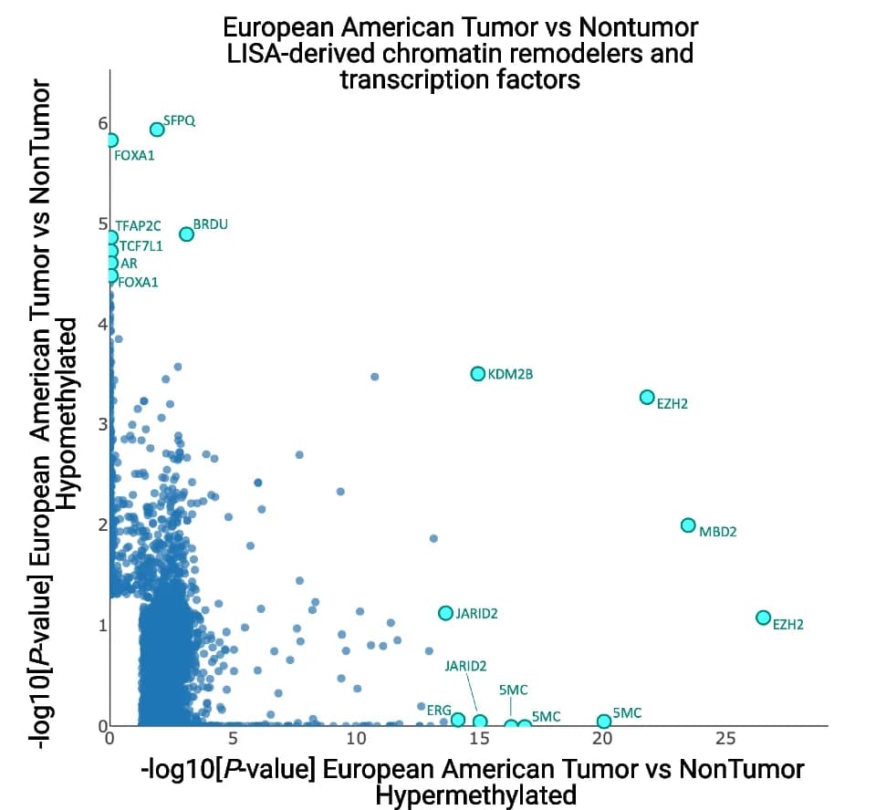 Open access visualization of Scatter Plot, Volcano Plot, Lisa-derived Enrichment, Epigenetic Regulators, Prostate Tumors