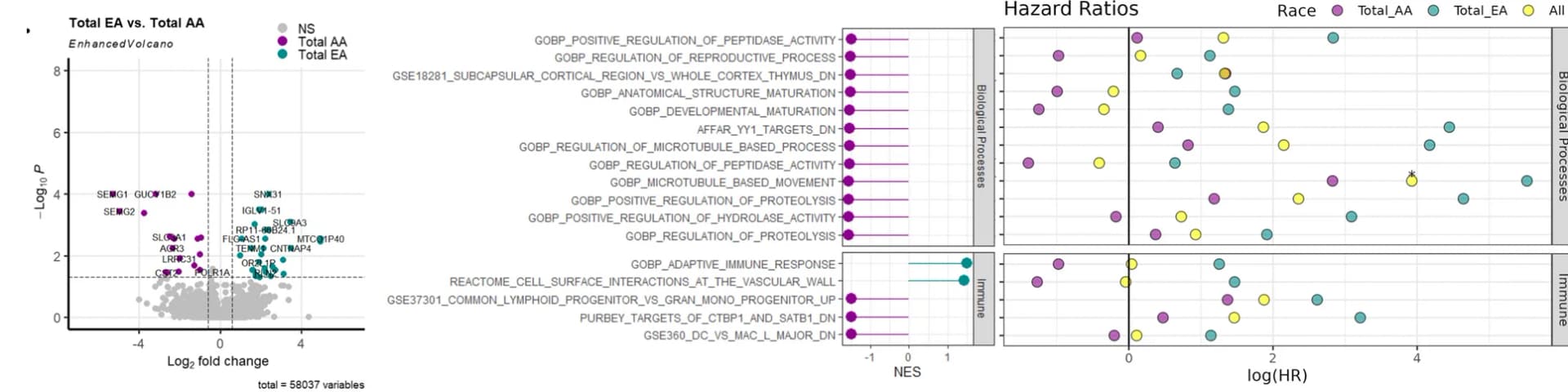 Open access visualization of Volcano Plot, Scatter Plot, Forest Plot, Prostate Tumors, African American Men