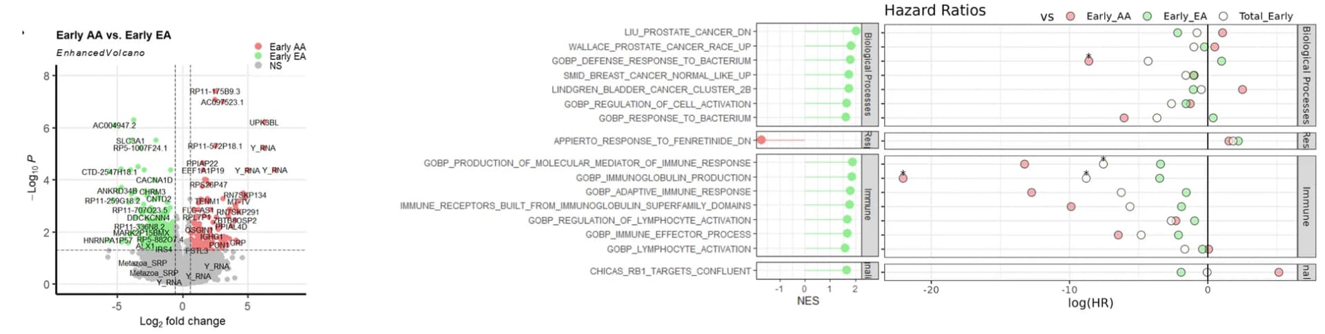 Open access visualization of Volcano Plot, Scatter Plot, Forest Plot, Race-Specific Comparisons, Prostate Tumors